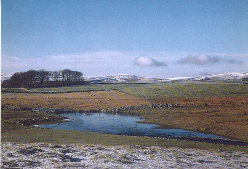 Malham Moor postcards